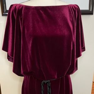 NWOT Berry Velvet Dress. Preserved for 10years, now certainly “One of a kind.”